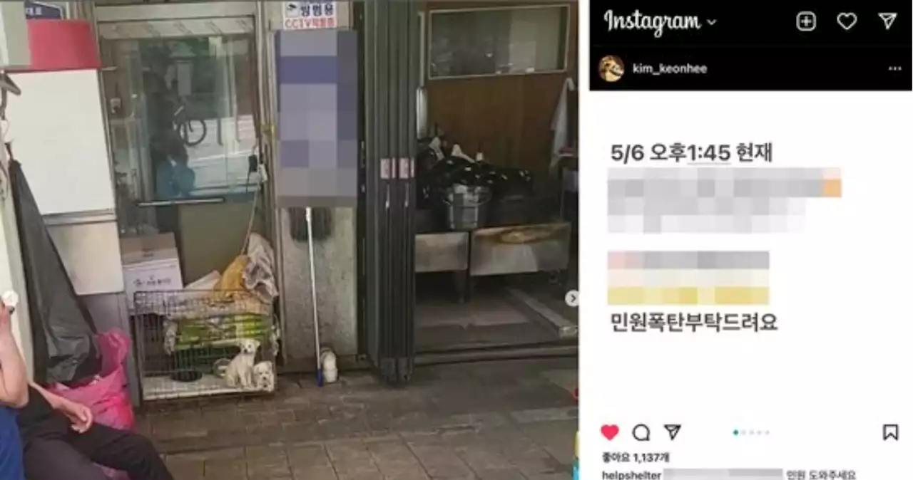 김건희 '세상에나ㅠ'…'민원폭탄 부탁드려요' 캡처 글, 뭐길래