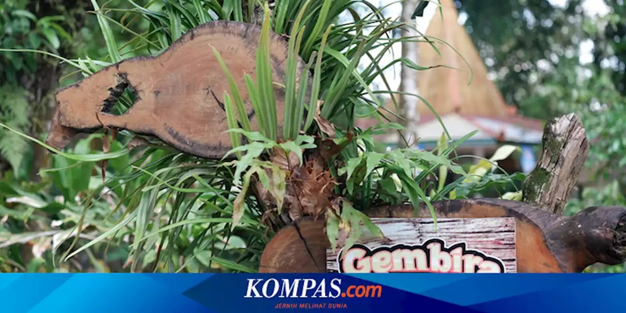 Kebun Binatang Gembira Loka Yogyakarta Dikunjungi 50.000 Wisatawan Saat Libur Lebaran 2022