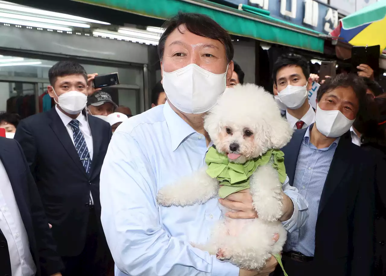 반려동물 등록 쉽게, 보험금 청구 간편하게…윤 정부의 '펫보험 활성화' 제대로 될까