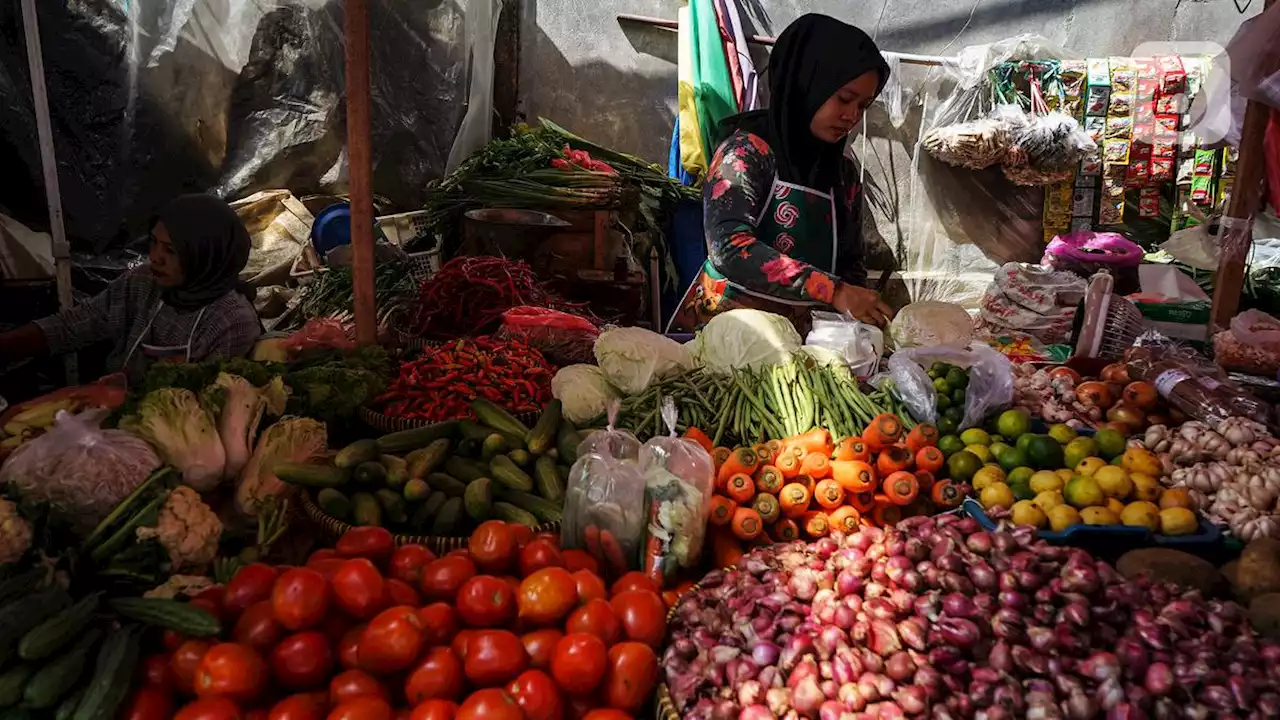 Badan Pangan Nasional: Stok dan Harga Bahan Pokok Stabil Usai Lebaran