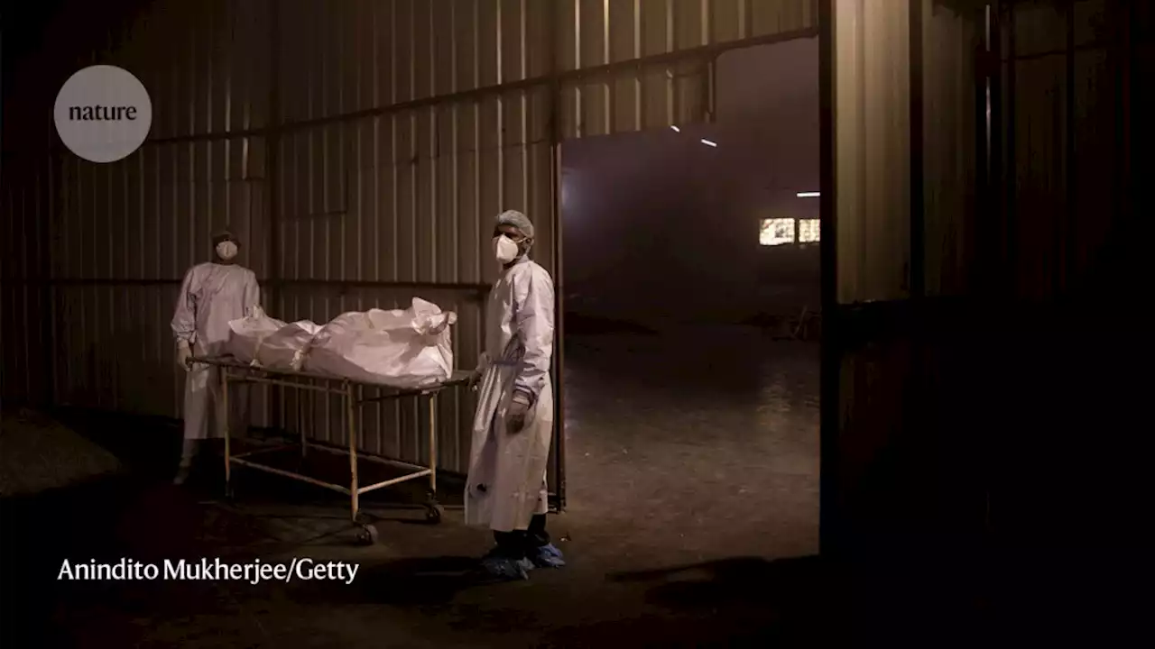 15 million people have died in the pandemic, WHO says