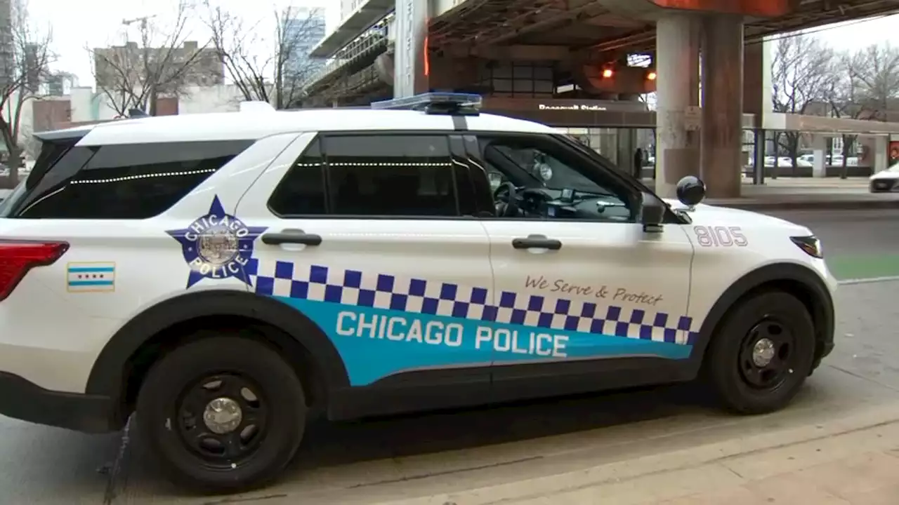 Teen Charged With Striking Chicago Police Officer During Arrest for Loop Robbery