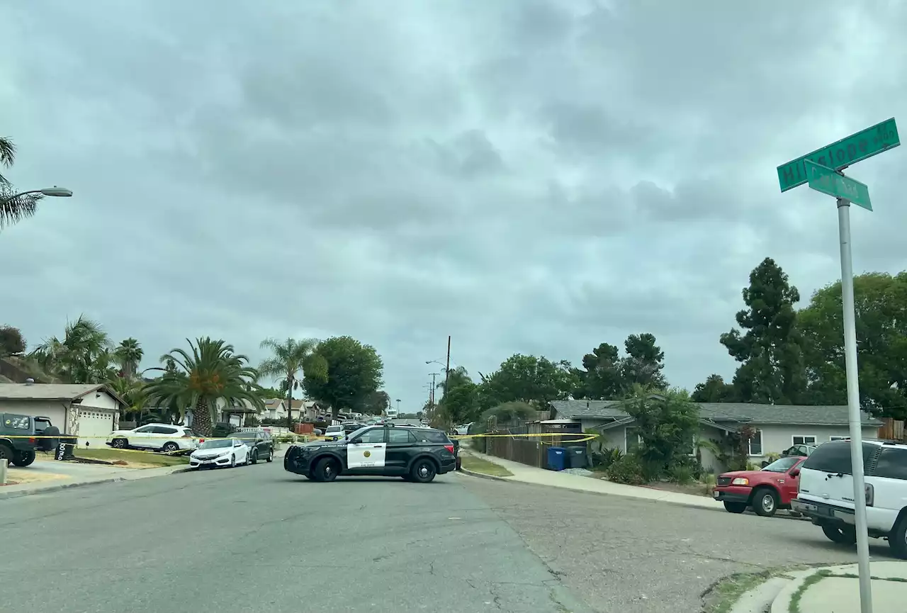 Two Men Stabbed to Death, Woman Wounded in San Diego Home