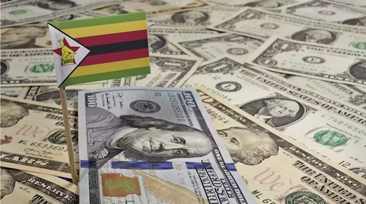 Companies risk it all to earn US dollars as Zim currency slides | Fin24