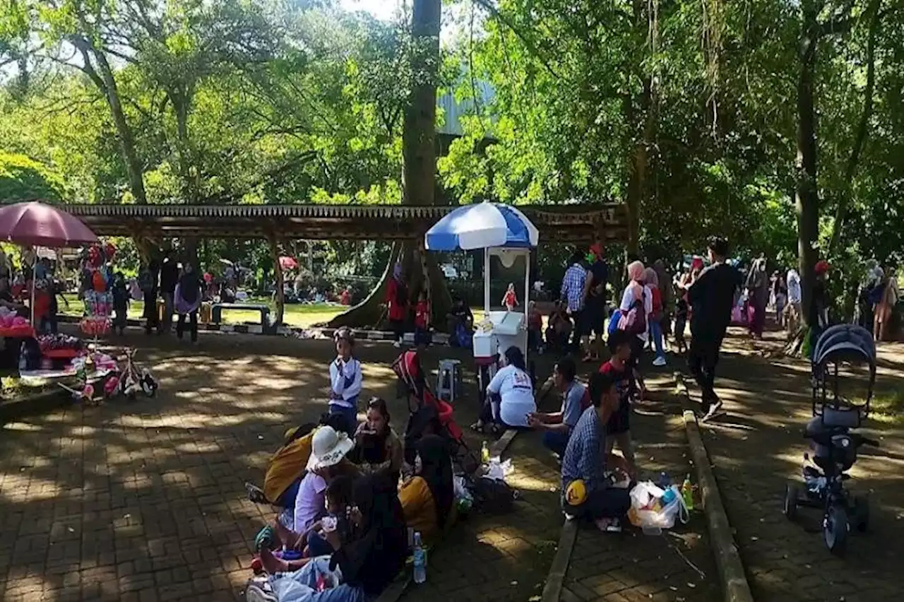 H+6 Lebaran, Sebanyak 37.134 Wisatawan Kunjungi Taman Margasatwa Ragunan