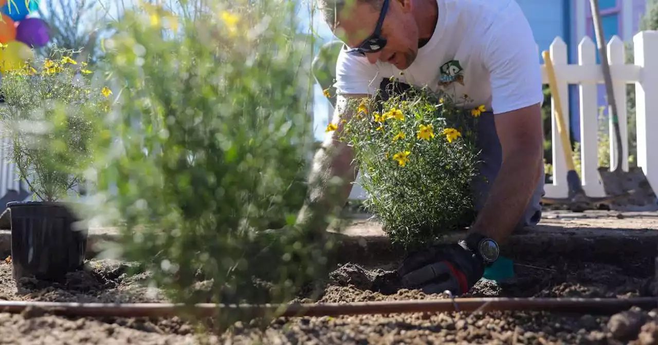 Why water experts want Utahns to be ‘the lone weirdo’ when it comes to xeriscaping