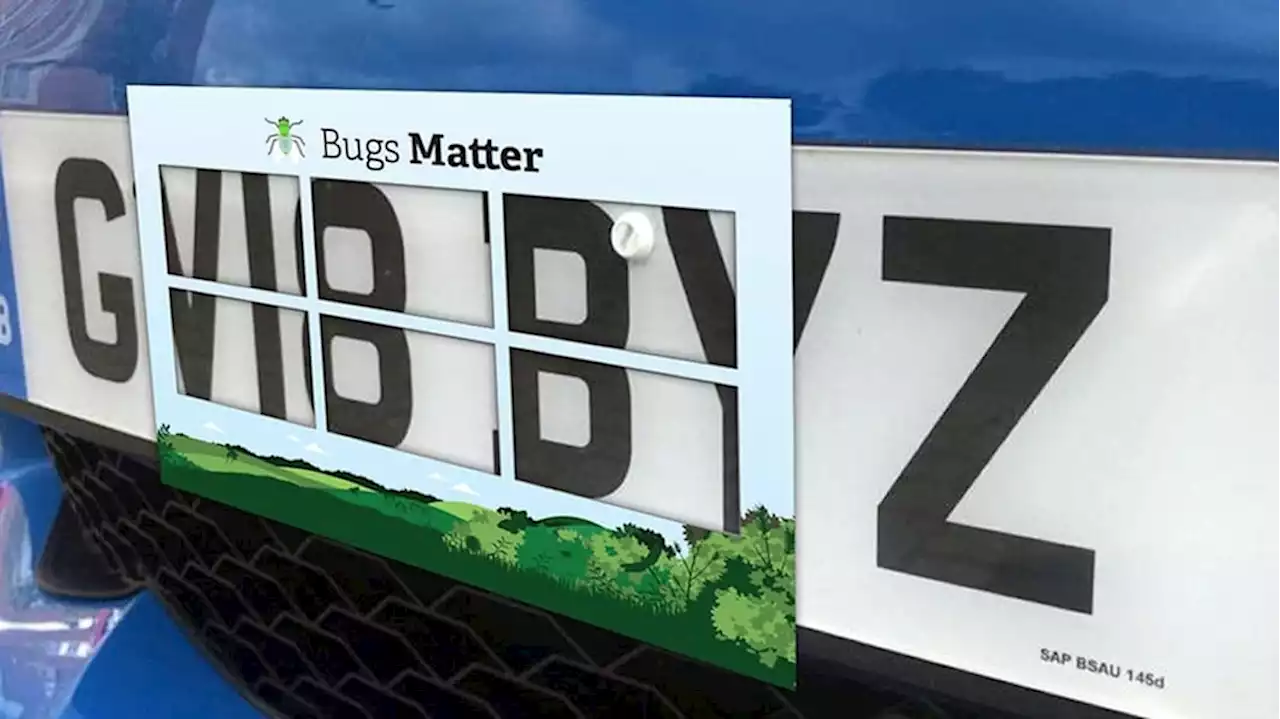 Splats on British license plates show shocking bug decline | Autoblog