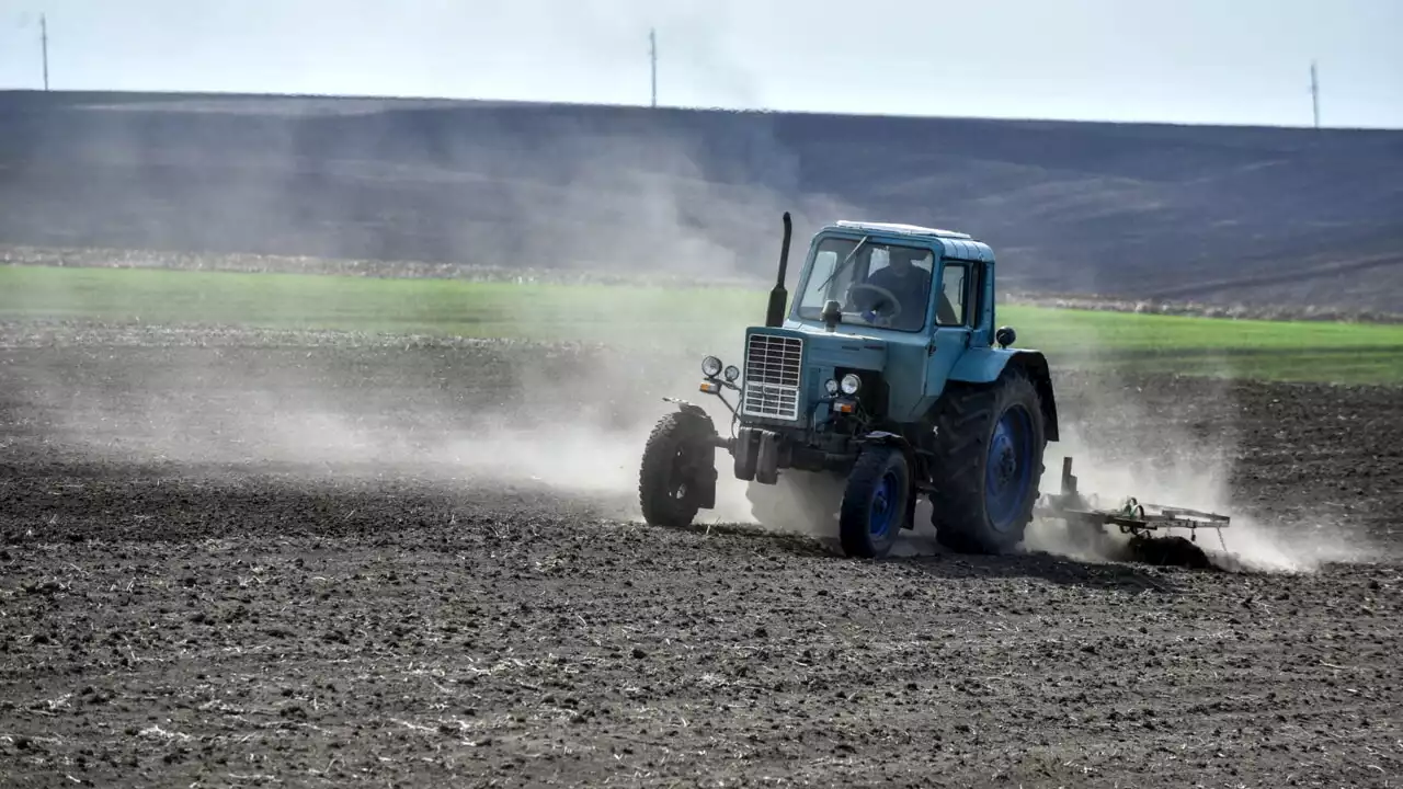 Le conseguenze della 'crisi del grano' in Ucraina