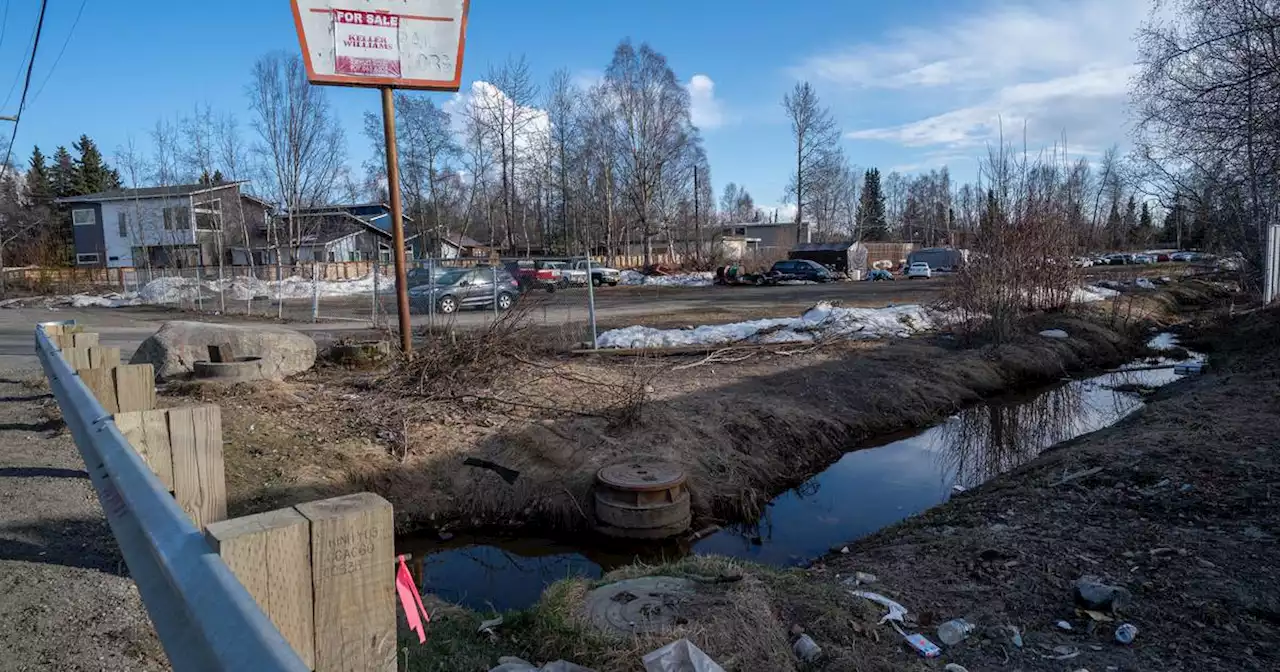 Much of a creek that once ran through Anchorage is now in underground pipes. A group wants to return it to the daylight.