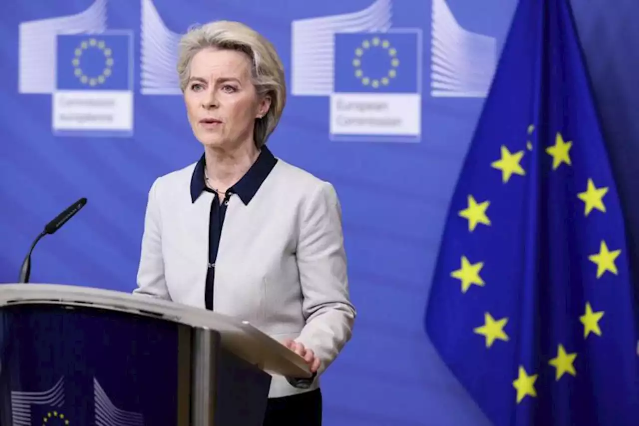 Ucraina, von der Leyen: 'Parere in giugno su adesione a Ue'