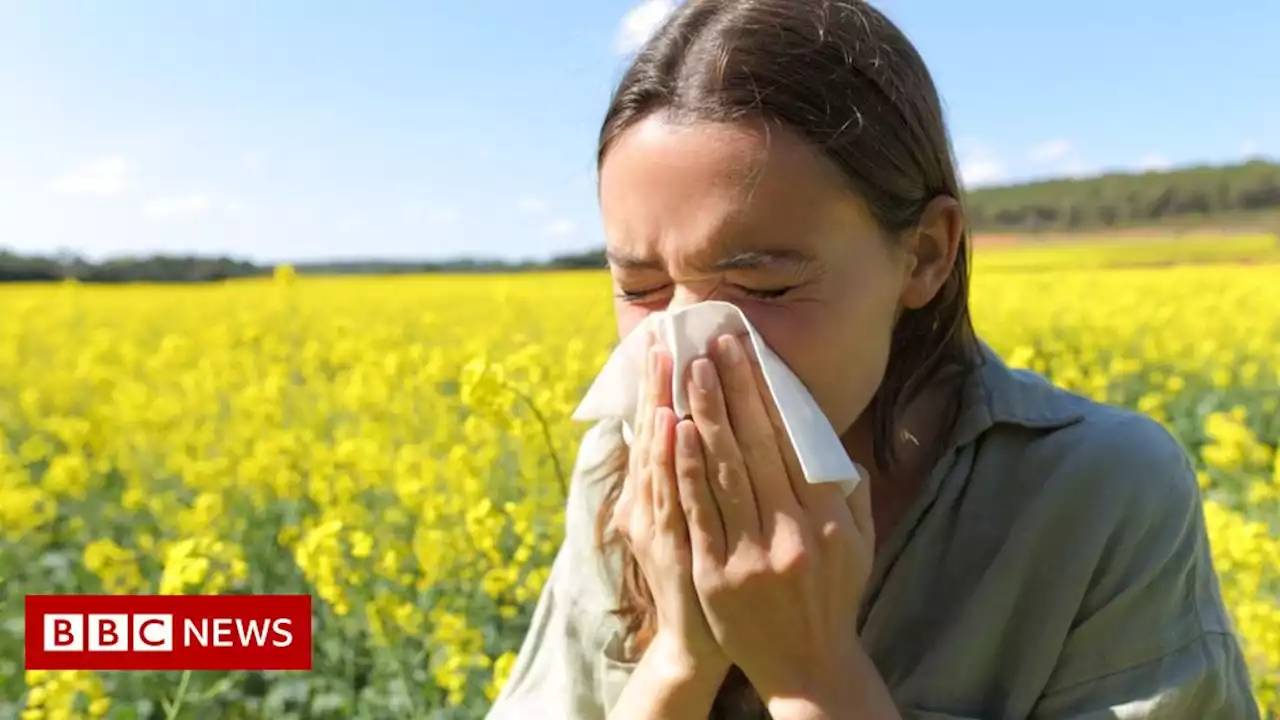 Hay-fever pill shortage hits High Street chemists