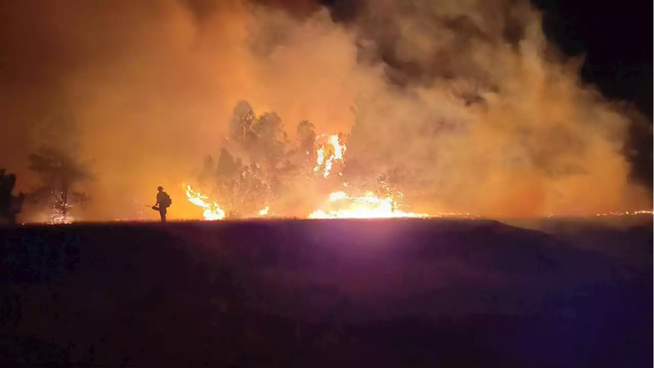 North Metro Fire Rescue Wildland Crews Assist With Massive Wildfire Burning In New Mexico