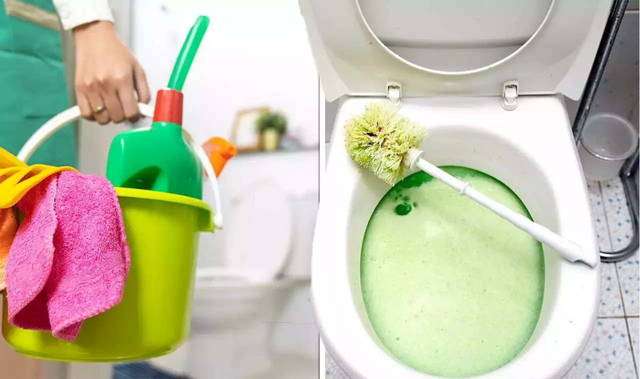 How to unblock a toilet - four ways to clear a blockage without using a plunger