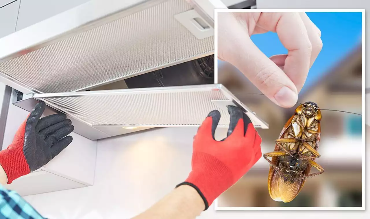 Why you should clean your extractor fan today - slash risk of 'fires, flies & cockroaches'