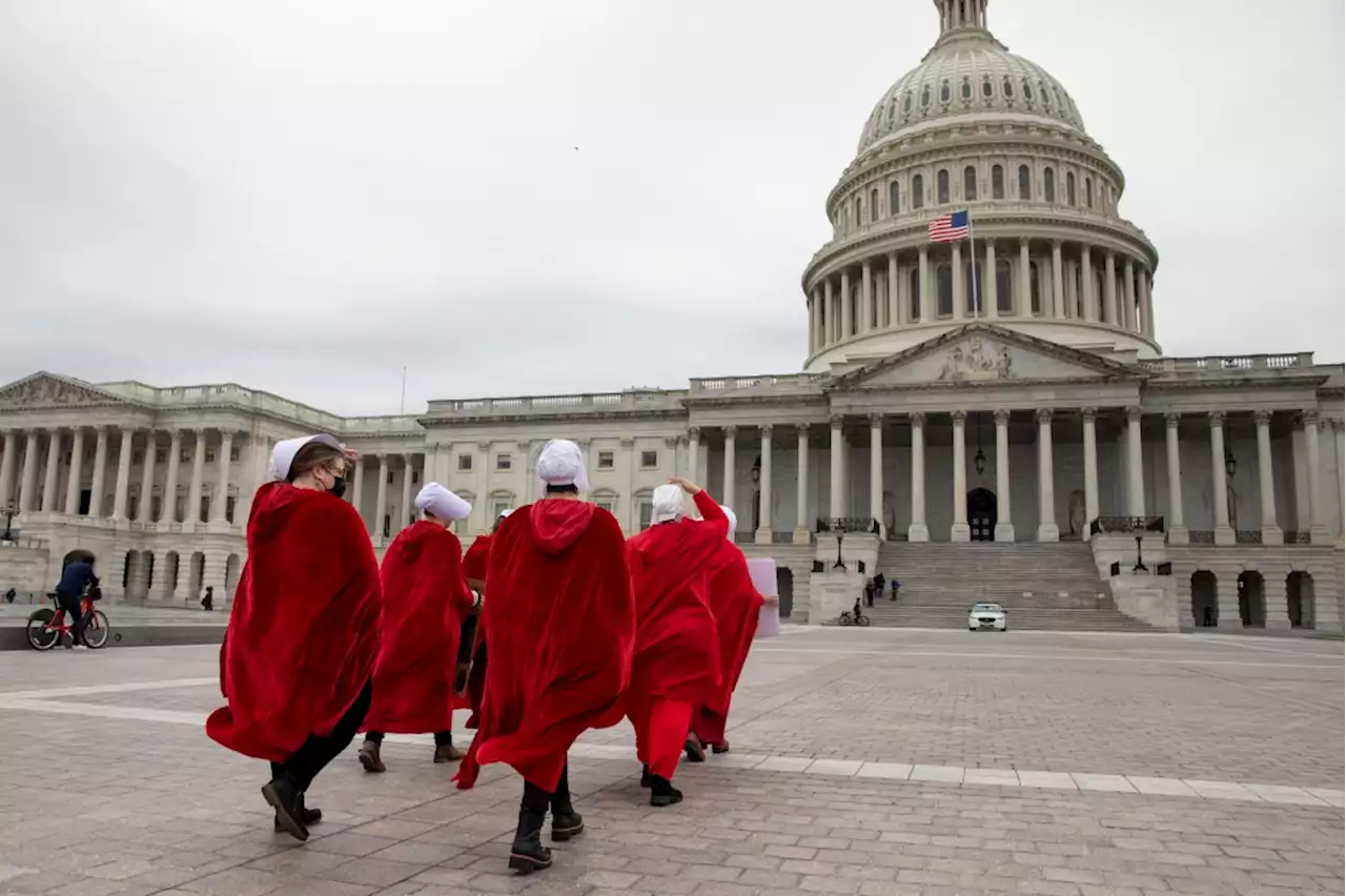 Margaret Atwood Slams Potential Overturn Of Roe vs. Wade: “Enforced Childbirth Is Slavery”