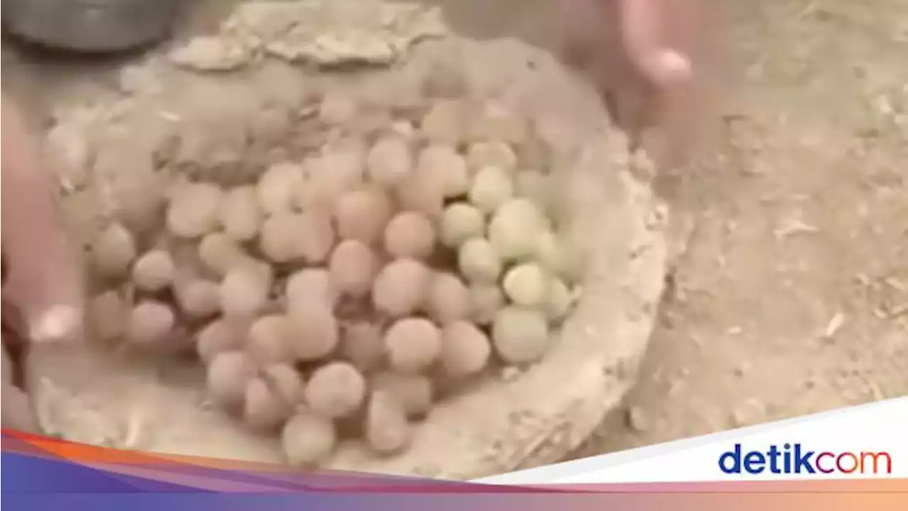 Kangina, Cara Alami Awetkan Buah Anggur hingga 6 Bulan Khas Afghanistan