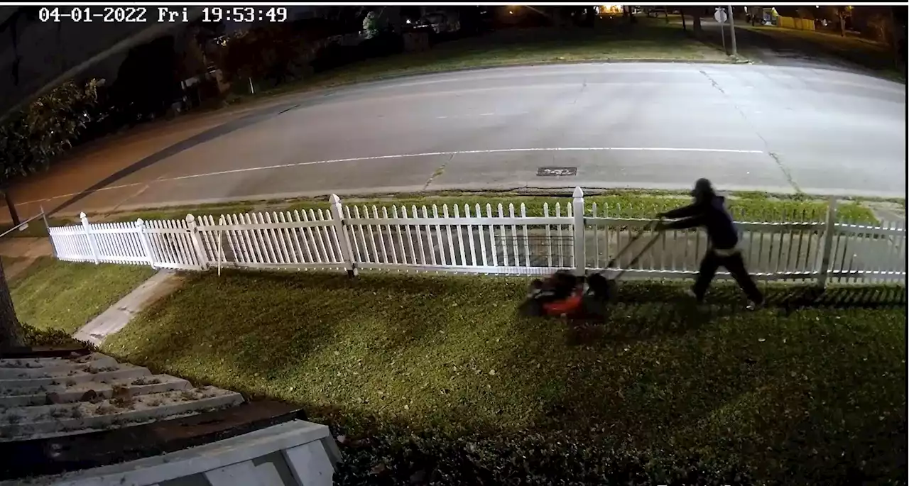 Trying before stealing: Texas man videoed using lawnmower on victim’s yard before taking it