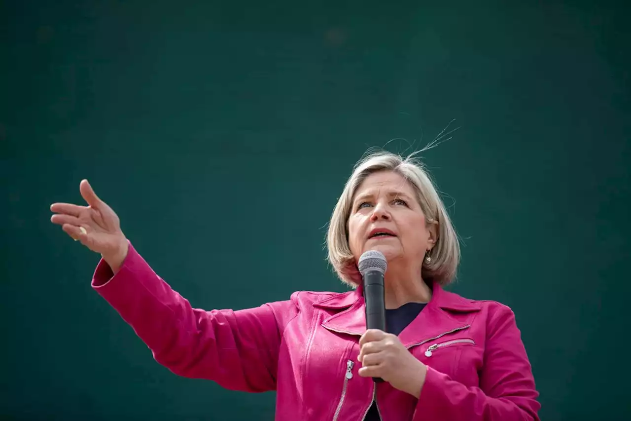 Ontario NDP promise northerners quicker medical travel reimbursement, local services