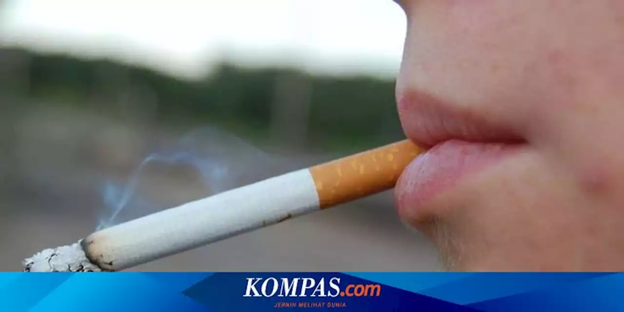 Cara Mudah Hilangkan Bau Asap Rokok di Kabin Mobil