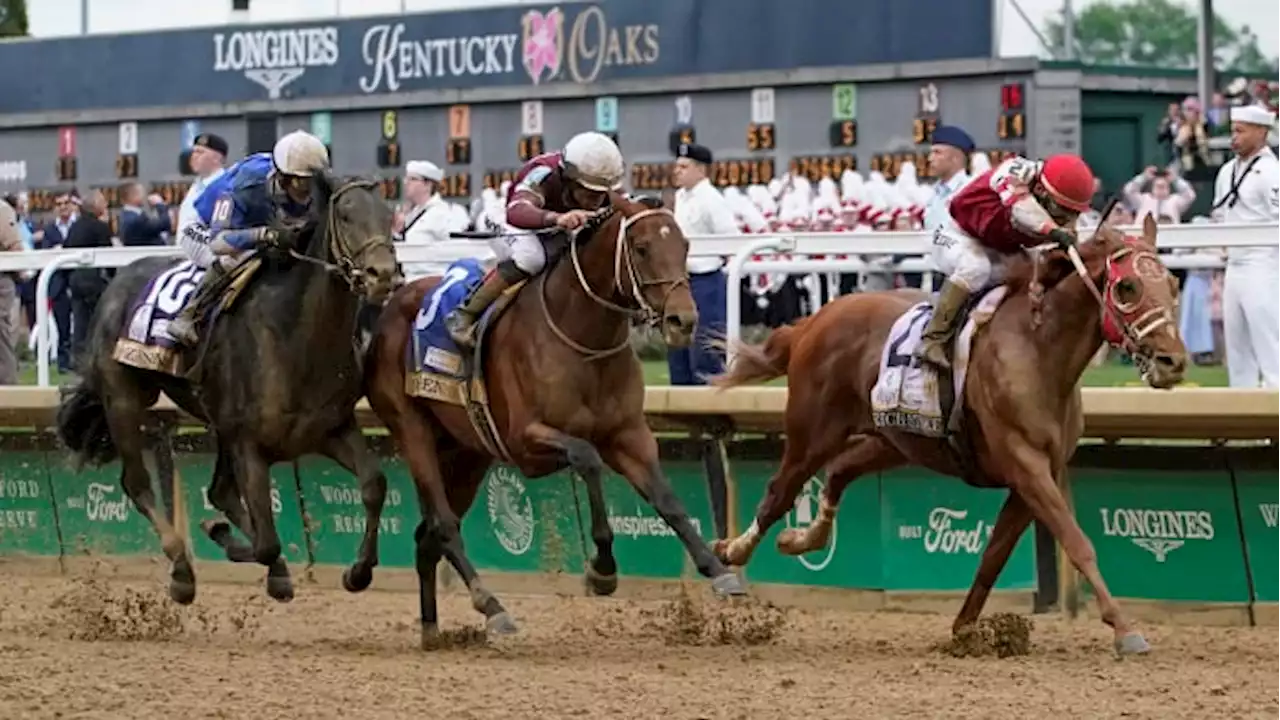 Rich Strike’s team considering Preakness options after upset