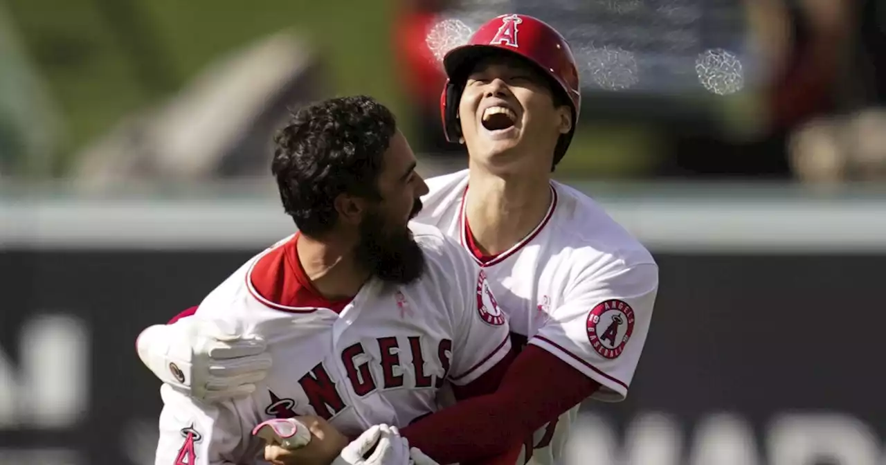 Anthony Rendon's walk-off single completes dramatic Angels comeback vs. Nationals