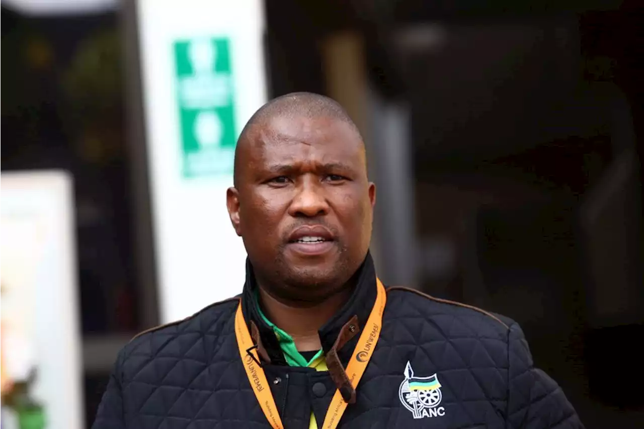 Oscar Mabuyane makes a clean sweep at ANC Eastern Cape conference