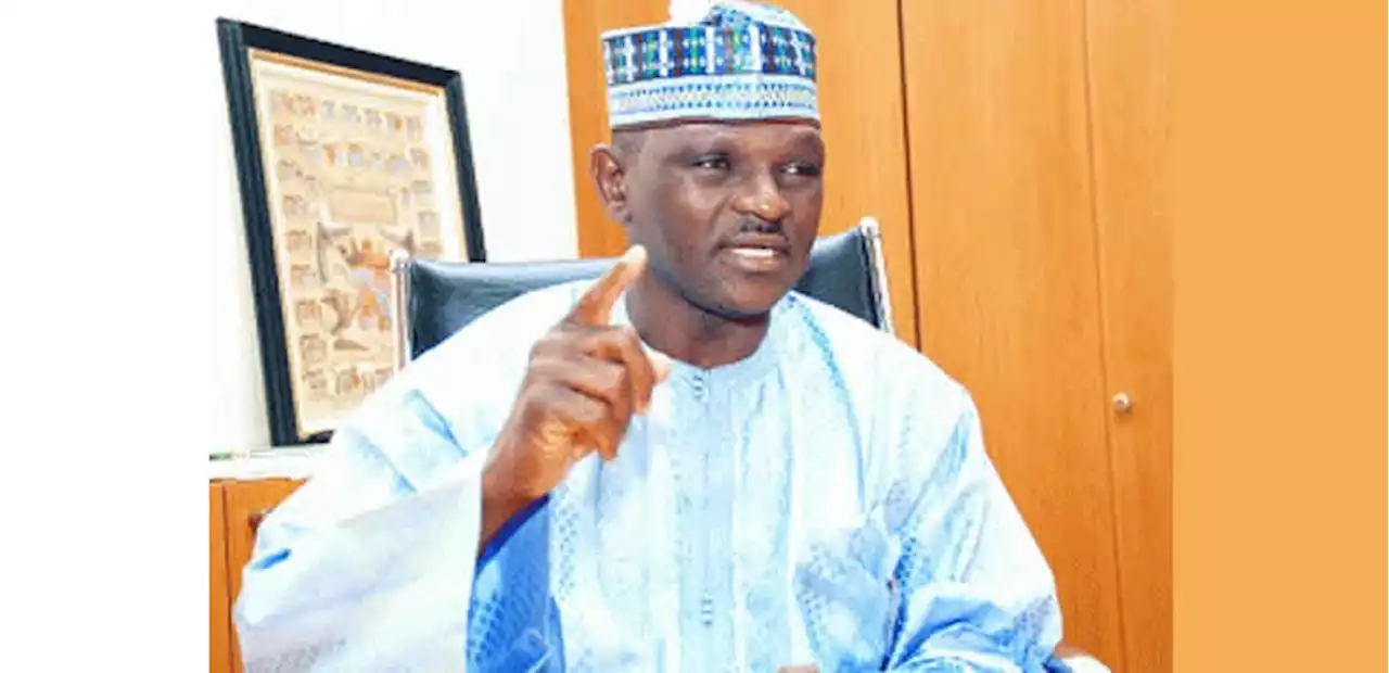 2023: Abacha's CSO Al-Mustapha will end insecurity, ASUU strike, says group - Punch Newspapers