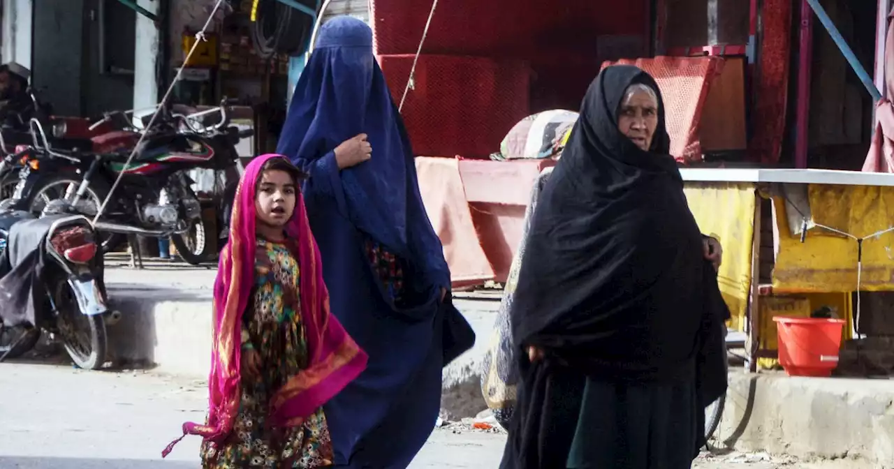 Taliban divisions deepen as women rage over veil edict