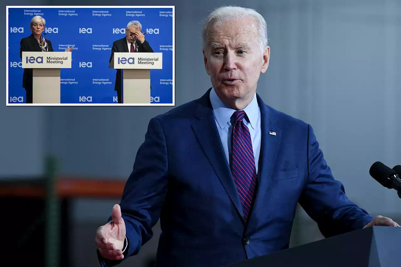 Global energy agency ‘embarrassed’ by Biden’s oil reserves tap: report