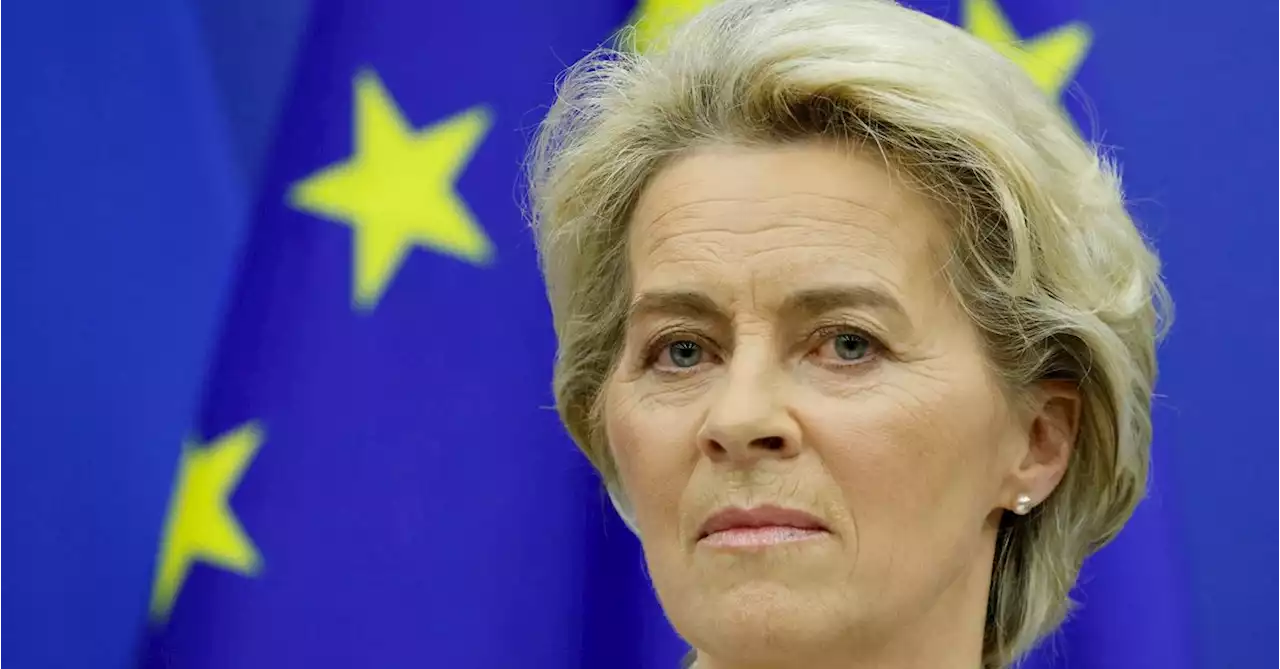 EU's von der Leyen sees progress in talks with Hungary on Russian oil ban