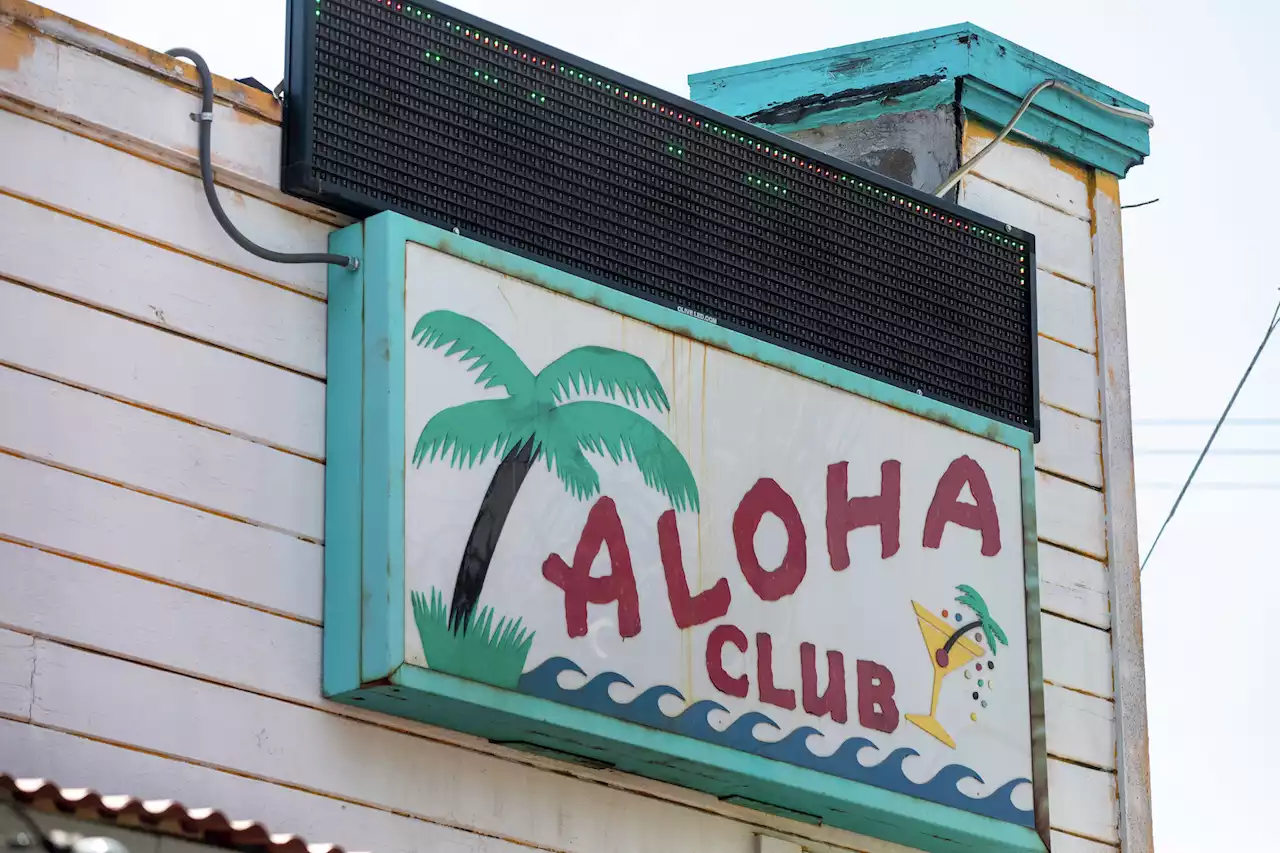 Bay Area history unearthed at 110-year-old dive bar