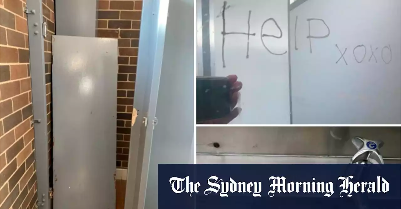 Smelly, dirty, unsafe: parents say school toilets are ‘disgraceful’