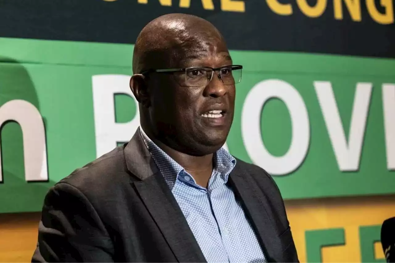 Oscar Mabuyane reelected as ANC Eastern Cape Chaiperson