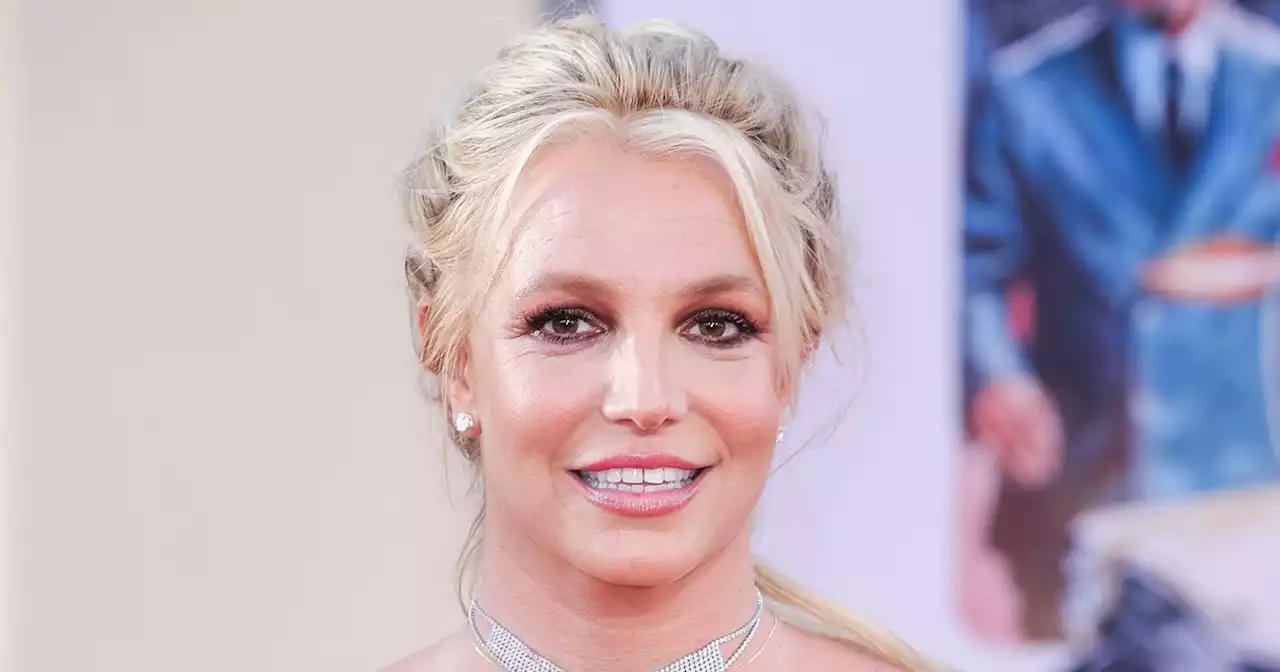 Meet Wendy! Britney Spears Introduces Her New Cat — And Teases Wedding Veil