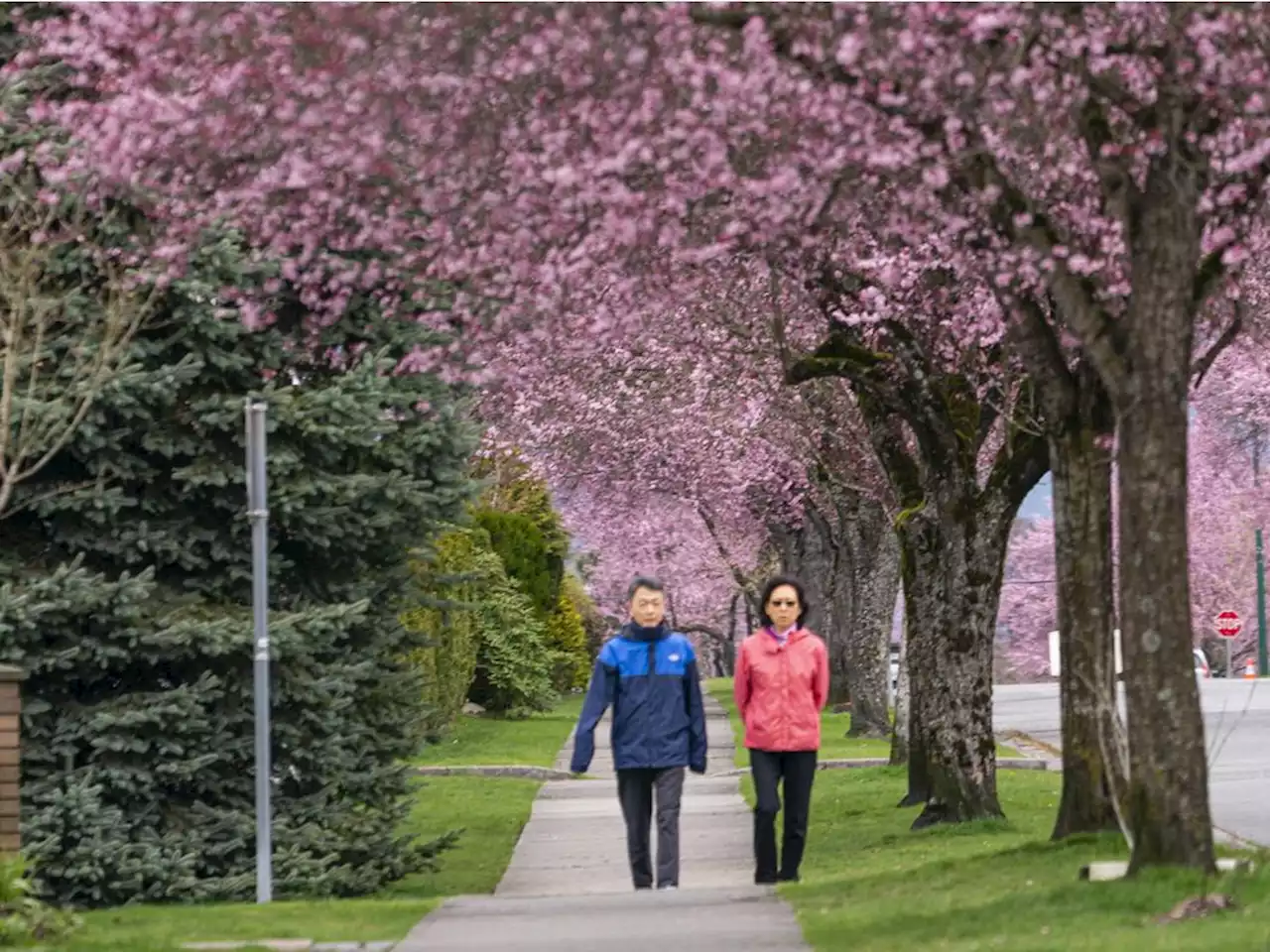 B.C. weather: Unusually cold spring a blessing for river forecasters, but June could bring trouble