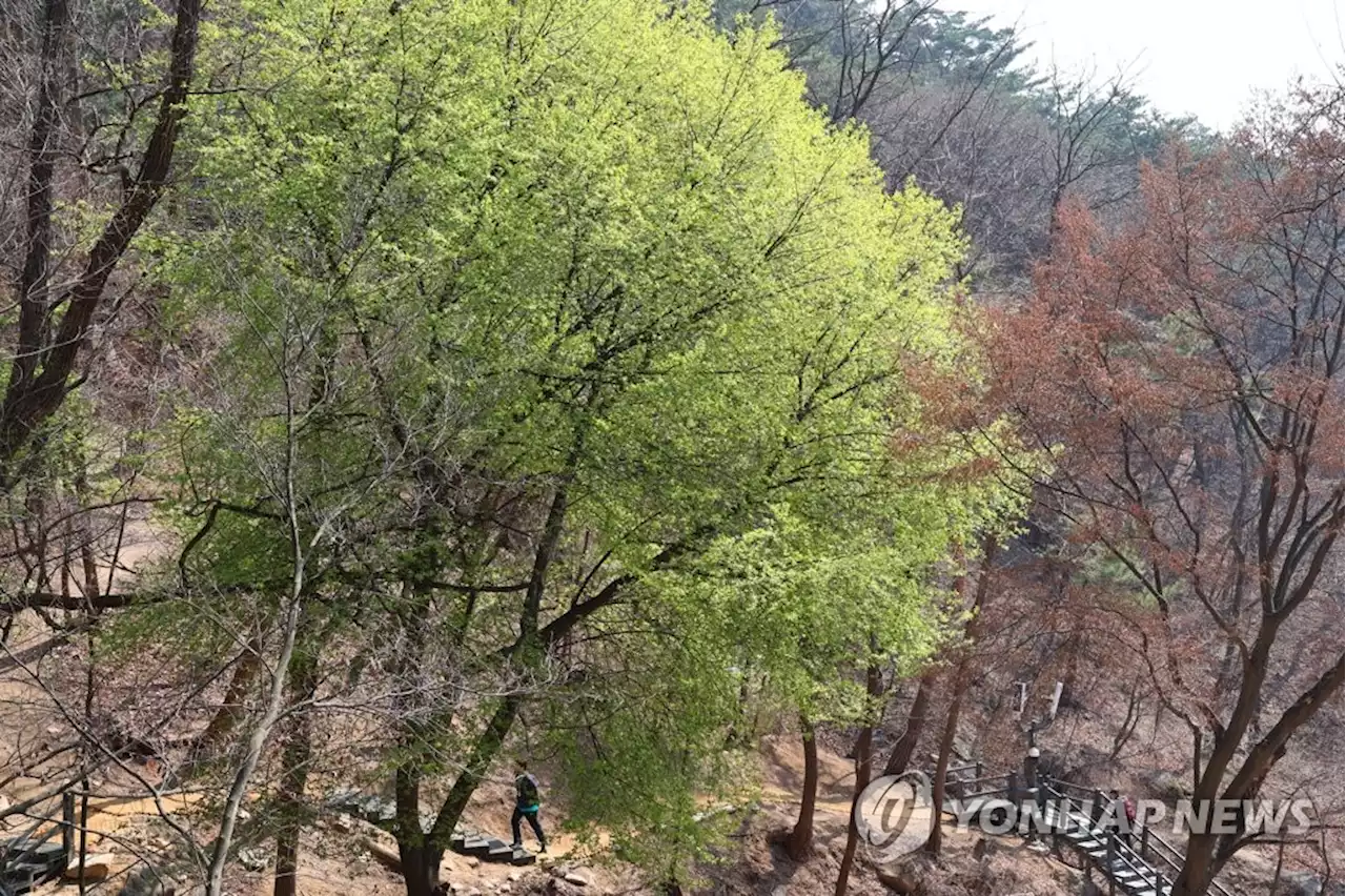 이젠 청와대 거쳐 오른다…백악산도 54년 만에 완전 개방 | 연합뉴스