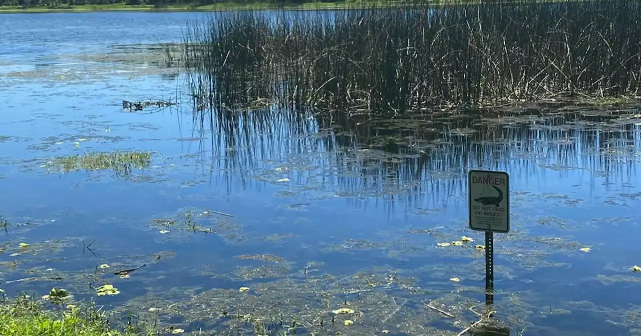 Man killed in suspected gator attack in Florida