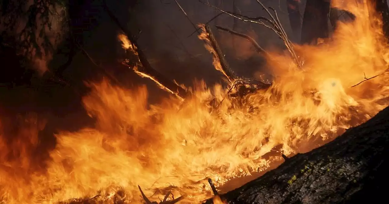 High fire danger warning issued in Anchorage amid continued warm, windy conditions