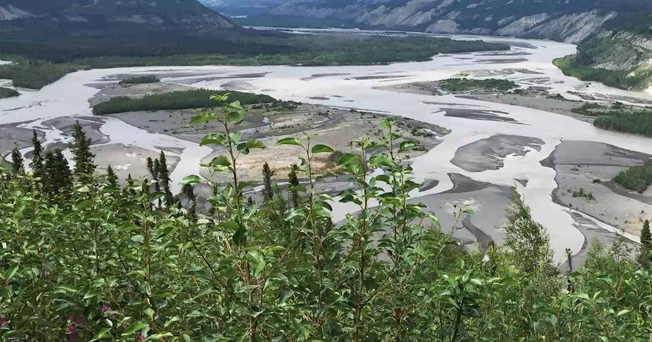 Rapid snowmelt fuels Copper River erosion, flooding near Glennallen