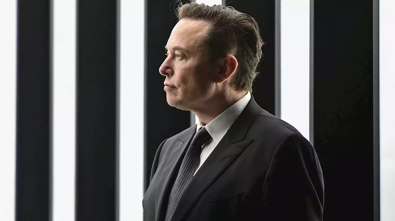 Elon Musk: Tesla remote employees 'should pretend to work somewhere else'