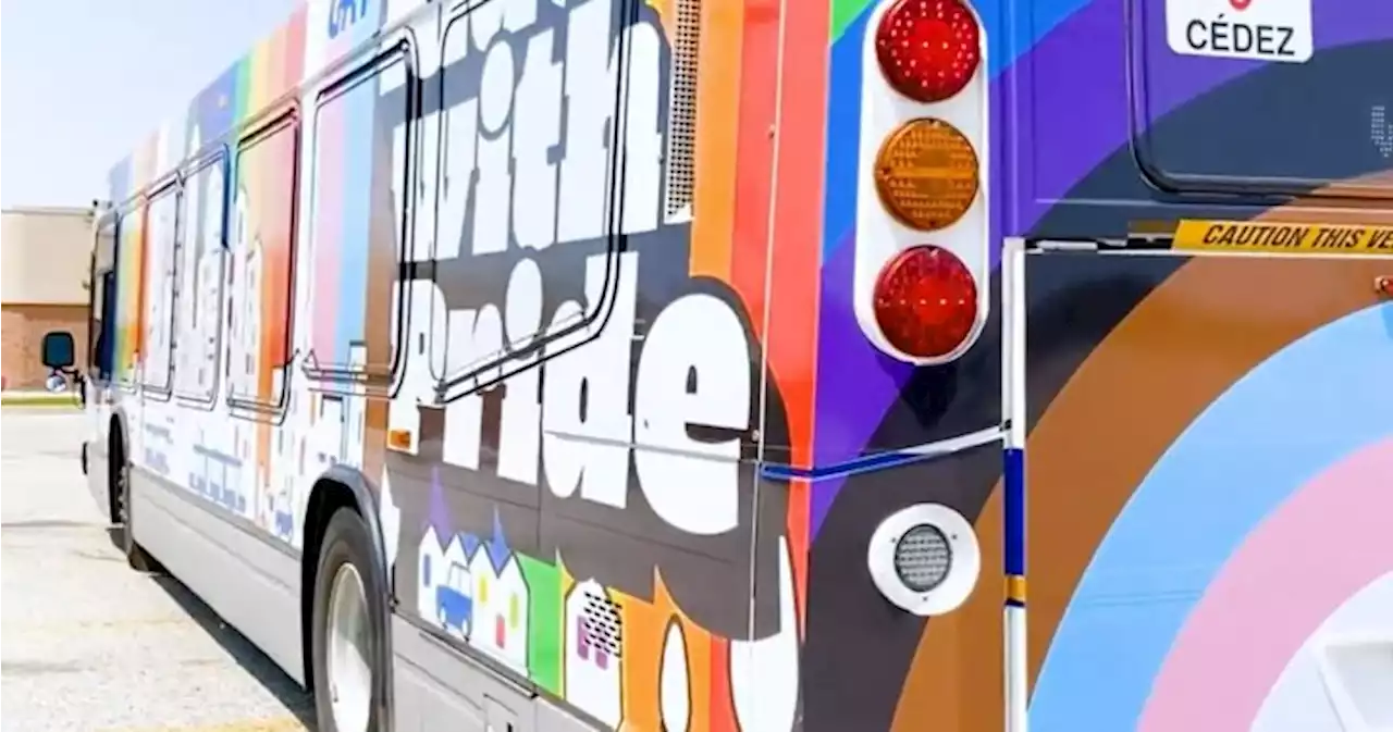 Grand River Transit bus gets special wrap to mark Pride Month - Kitchener | Globalnews.ca