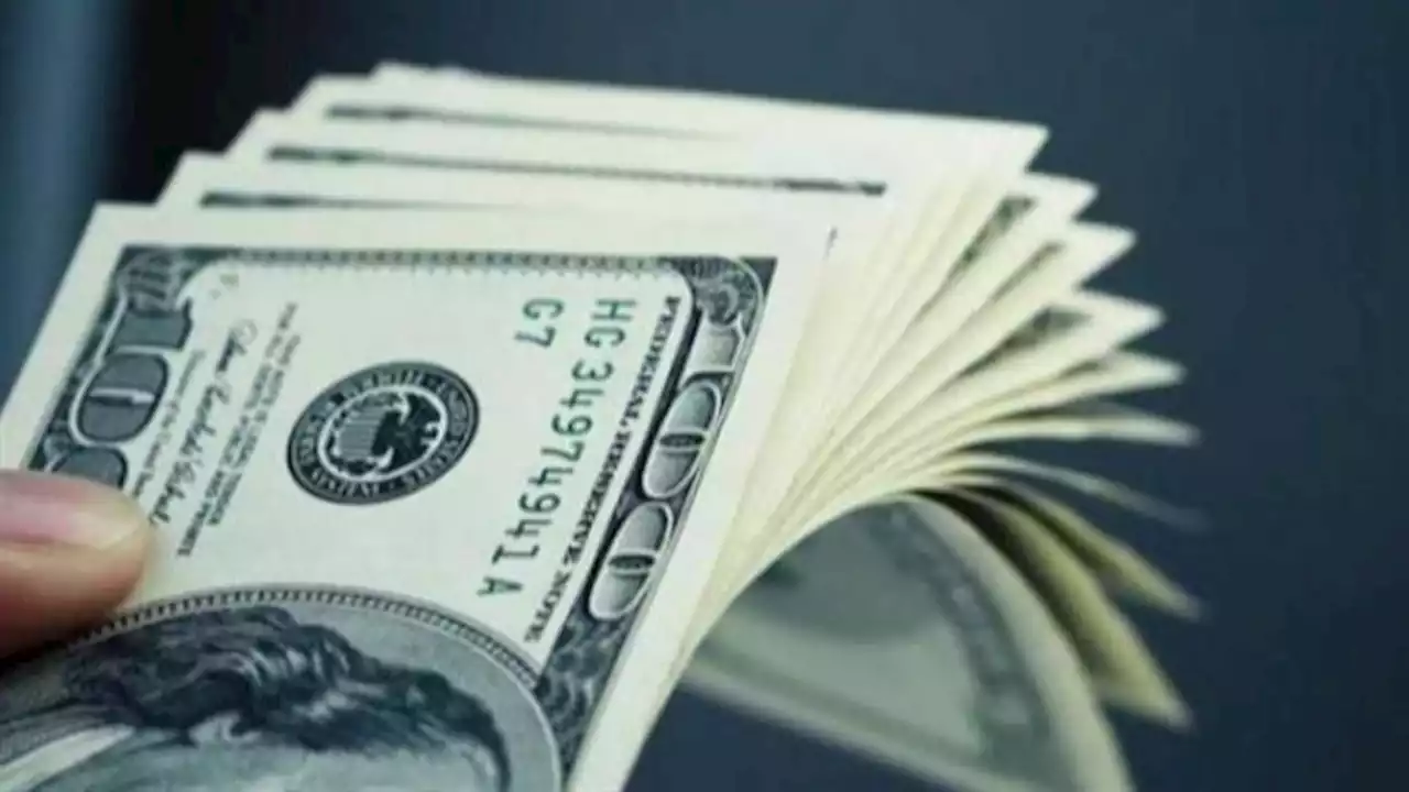 المالية ترفع سعر الدولار الجمركي إلى 18.64 جنيه في يونيو