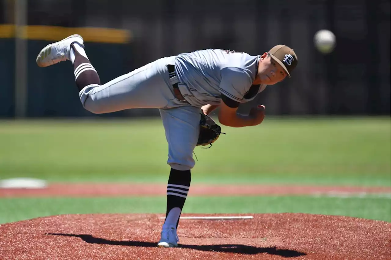 CIF NorCal baseball: St. Francis breaks single-season program record for wins