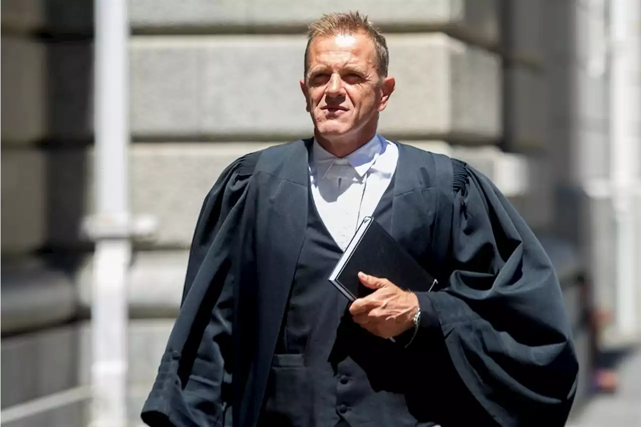 Pete Mihalik murder accused fires lawyer dealing with assault claims | News24