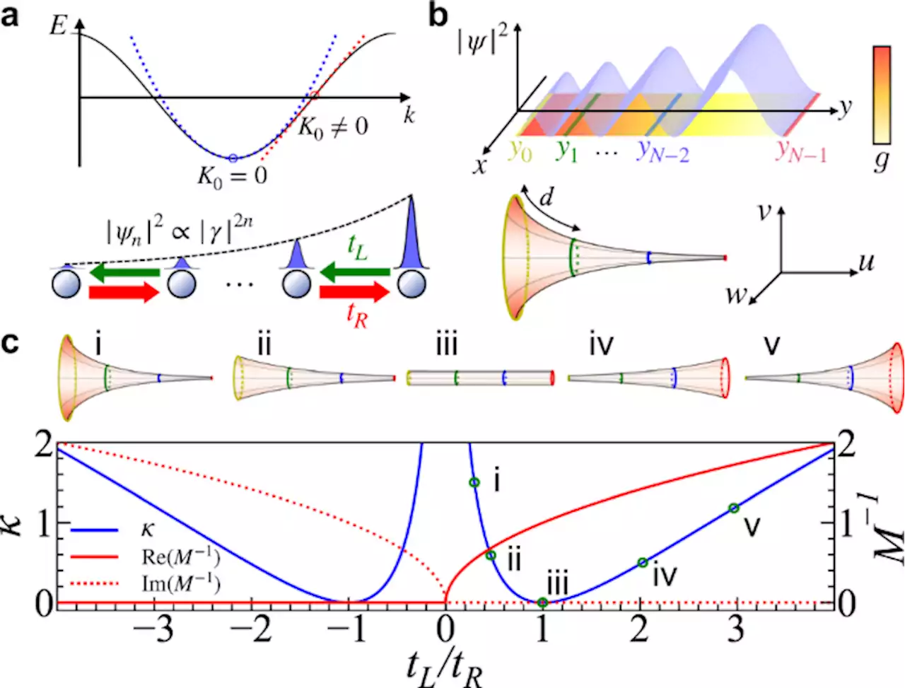 Curving the space by non-Hermiticity - Nature Communications