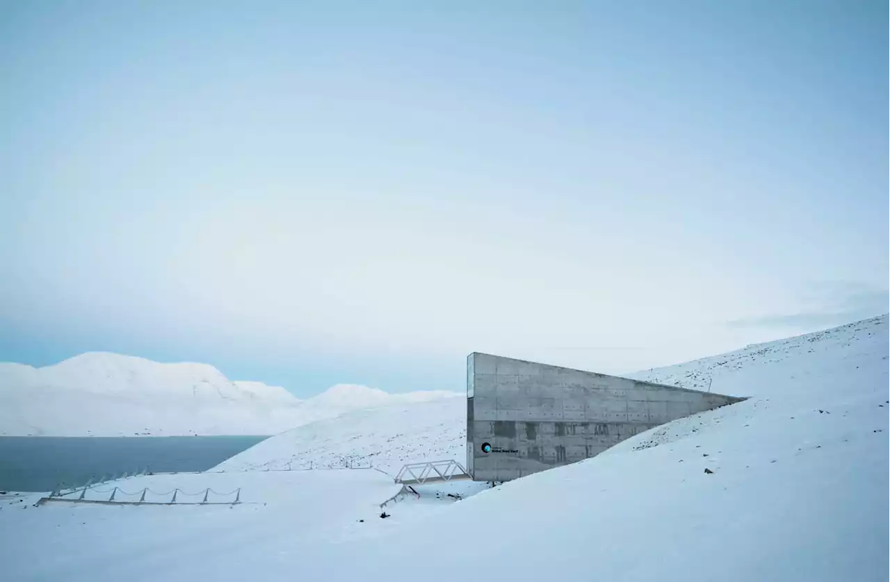 Poem: &lsquo;Vaulted Seeds,&rsquo; after the Svalbard Global Seed Vault