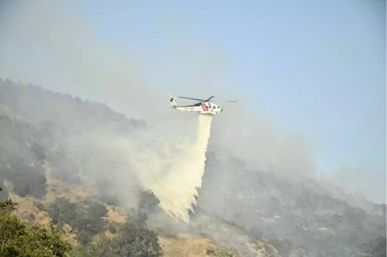 Here's an update on the wildfire that's burning in Napa County