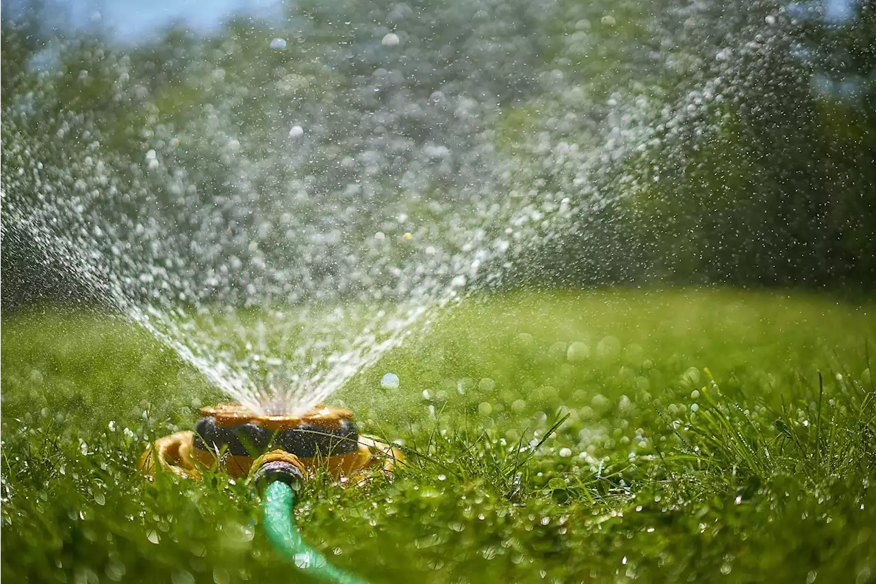 Water hogs in this Bay Area county could face fines up to $10,000