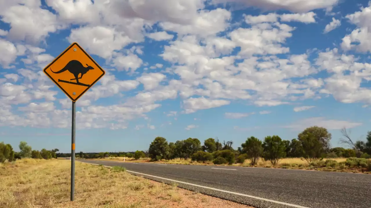 Police say leg found on NT highway was likely left after hit-and-run