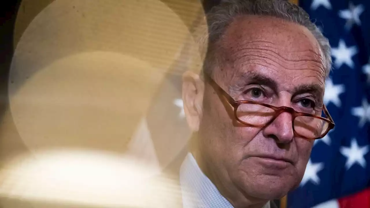 Arrest Made After Vile Abortion Threat Is Left on Chuck Schumer’s Voicemail